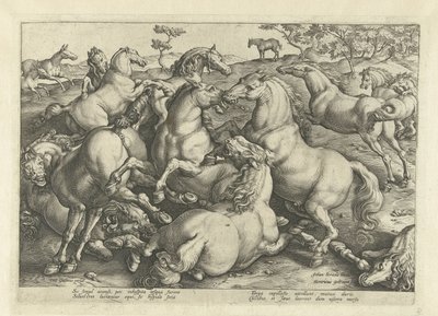 Doce caballos de pelea Razas de caballos de las Caballerizas Reales de Don Juan de Austria (título de la serie) de Hendrick Goltzius