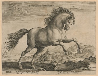 caballo salvaje Eqvvs liber et incompǒsitvs (título sobre el objeto) Razas de caballos de las Caballerizas Reales de Don Juan de Austria (título de la serie) de Hendrick Goltzius
