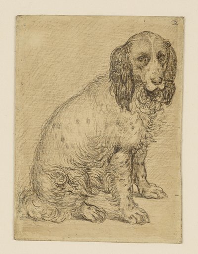  de Hendrick Goltzius