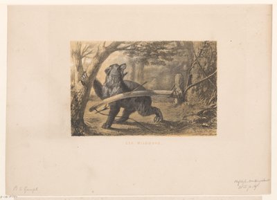 Oso en una trampa
Un arco de juego (título en el objeto) de Hendrik Adriaan Christiaan Dekker