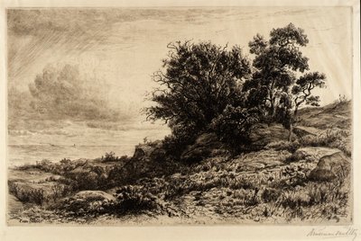 Una mirada al océano de Hendrik Dirk Kruseman van Elten