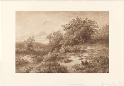 Paisaje con arroyo y arbustos de Hendrik Dirk Kruseman van Elten