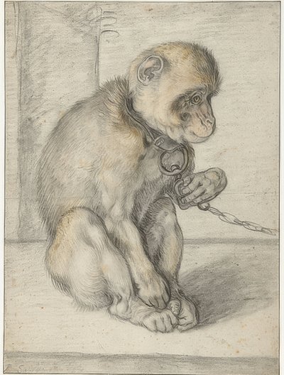 Un mono sentado con una cadena de Hendrik Goltzius