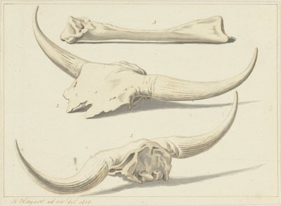 Huesos fósiles de un uro, encontrados durante la inundación, 1809 de Hendrik Hoogers