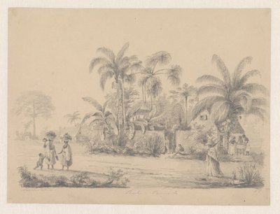 Vista de la calle a las afueras de Paramaribo de Hendrik Huygens