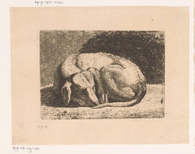 Perro dormido de Hendrik Jozef Franciscus van der Poorten