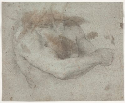 Torso de modelo masculino de Hendrik Krock