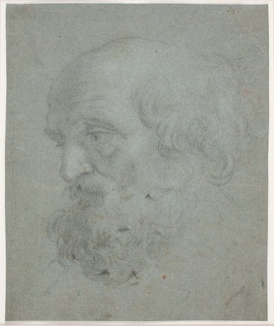 Cabeza de hombre barbudo (Apóstol Pedro) de Hendrik Krock