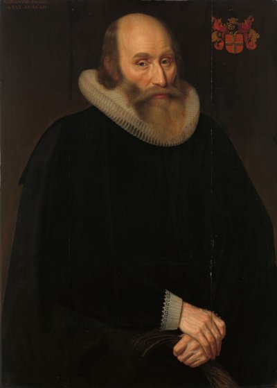 Retrato de Antonius Antonides van der Linden, médico en Ámsterdam de Hendrik Meerman