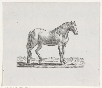 Caballo de Hendrik Numan