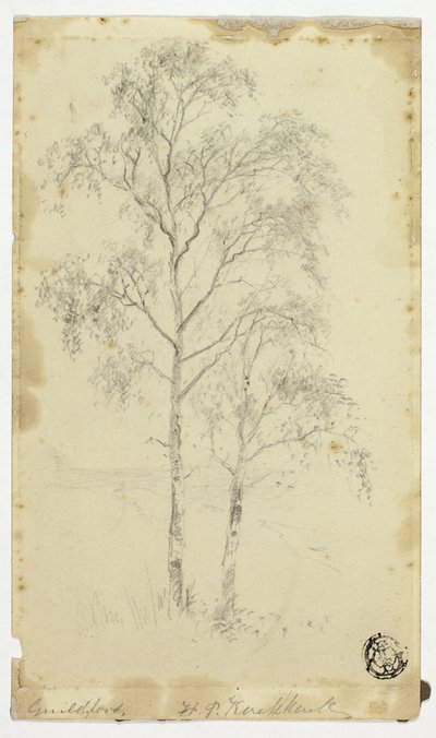 Guildford de Hendrik Pieter Koekkoek