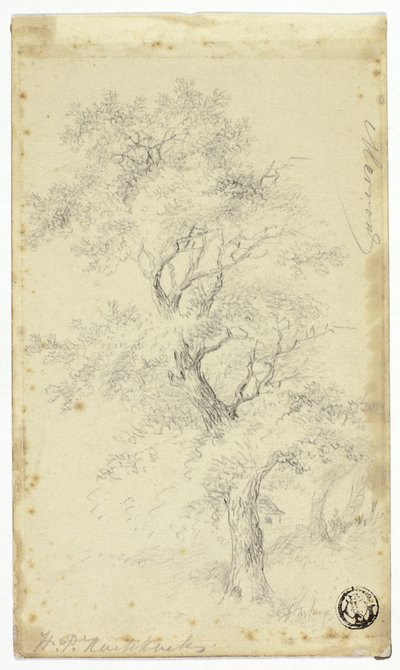 Merron de Hendrik Pieter Koekkoek