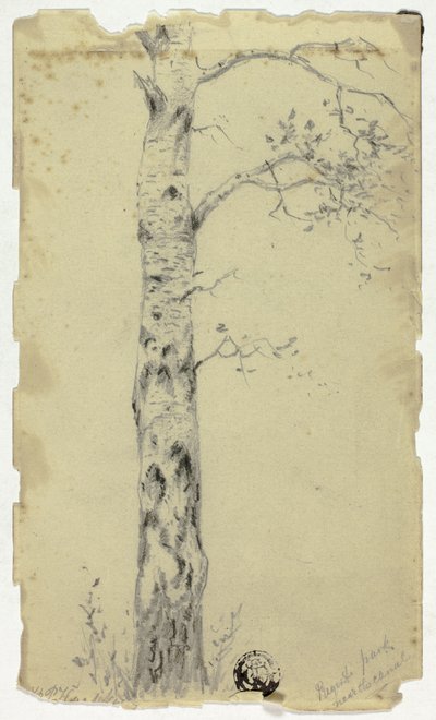 Regent Park, cerca del Canal de Hendrik Pieter Koekkoek