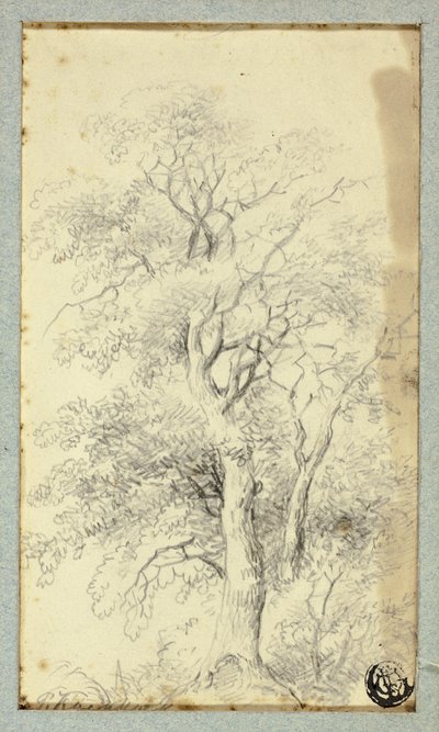 Árbol de Hendrik Pieter Koekkoek