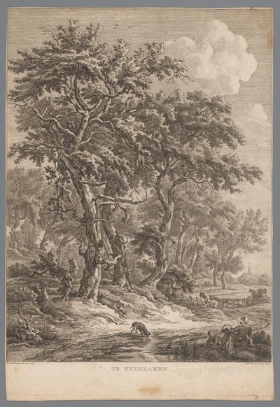 Paisaje en Zuidlaren En Zuidlaren (título sobre objeto) Nueve caras en Drenthe (título de la serie) IX Rostros en y cerca del paisaje de Drenthe (título de la serie) de Hendrik Schwegman