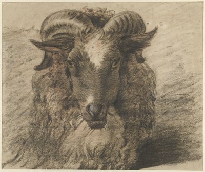 Cabeza de carnero de Hendrik Stokvisch