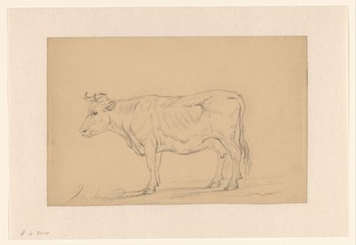 Estudio de una vaca en pie de Hendrik Verspoeken