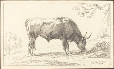 Un joven toro pastando de Hendrik Voogd