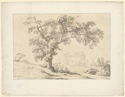 Árbol en paisaje Tentamina Lithographica (título de la serie) Paisajes italianos (título de la serie) de Hendrik Voogd