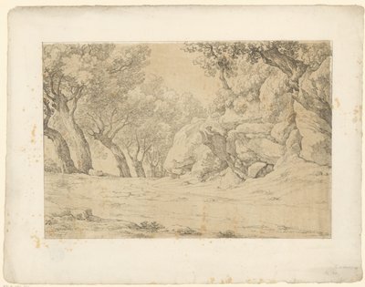 Avenida con rocas cubiertas de maleza Tentamina Lithographica (título de la serie) Paisajes italianos (título de la serie) de Hendrik Voogd