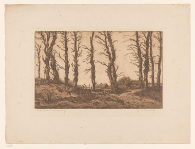 Oud Blaricummerweg (título original del objeto) de Hendrik Weegewijs (signed by artist)