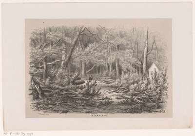 Árboles caídos en Jacobalaan, tras la tormenta del 28 de mayo de 1860
Jacobalaan (título en el objeto)
Álbum de diez bocetos litografiados que representan escenas de la destrucción causada por la tormenta del 28 de mayo de 1860 en el 