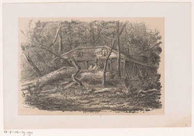 Árbol derribado en Buitenlust, tras la tormenta del 28 de mayo de 1860 Buitenlust (título sobre el objeto) Álbum de diez bocetos litografiados, que representan a Tooneelen de la destrucción, agitados por la tormenta del 28 de mayo de 1860 en el 