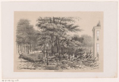 Árbol derribado cerca de Voorhout, tras la tormenta del 28 de mayo de 1860 Voorhout (título sobre objeto) Álbum de diez bocetos litografiados, que representan a Tooneelen de la Destrucción, Agitados por la tormenta del 28 de mayo de 1860 en el 