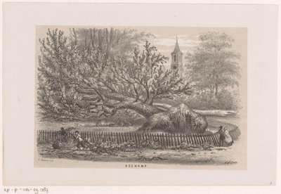 Árbol derribado en el Koekamp, ​​tras la tormenta del 28 de mayo de 1860 Koekamp (título sobre objeto) Álbum de diez bocetos litografiados, que representan a Tooneelen de la destrucción, agitados por la tormenta del 28 de mayo de 1860 en el 