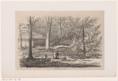 Árbol derribado en el club, tras la tormenta del 28 de mayo de 1860 Tienda social (título sobre objeto) Álbum de diez bocetos litografiados, que representan a Tooneelen of the Destruction, Agitated by the storm of 28 May 1860 in the 