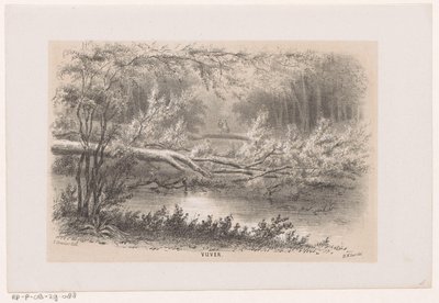 Árbol volado, tras la tormenta del 28 de mayo de 1860 Estanque (título sobre el objeto) Álbum de diez bocetos litografiados, que representan a Tooneelen de la Destrucción, Agitado por la tormenta del 28 de mayo de 1860 en el 