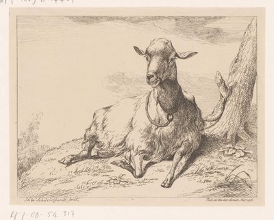 cabra mentirosa Diferentes animales (título de la serie) de Hendrik Willem Schweickhardt