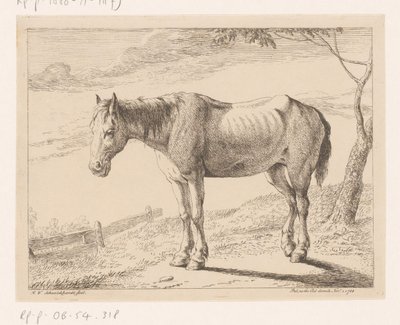 Caballo Diferentes animales (título de la serie) de Hendrik Willem Schweickhardt