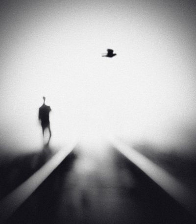 Hombre solitario, pájaro volador de Hengki Lee