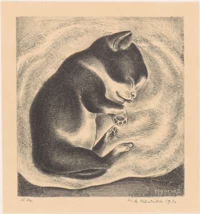 Gato joven dormido de Henk Henriët (signed by artist)