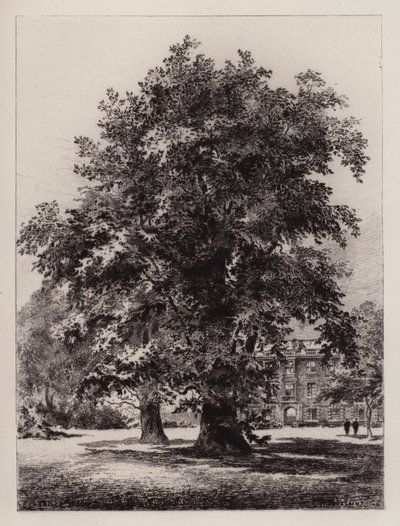 Cambridge: El jardín de Christ