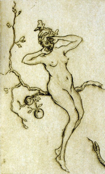 Mujer desnuda despertando de Henri Boutet