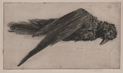 El Gran Cuervo Colgante (Le Grand Corbeau Pendu), de Henri Charles Guérard