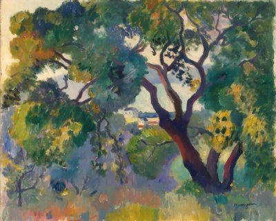 Paisaje cerca de St. Tropez de Henri Charles Manguin