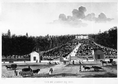 Vista del jardín del rey: el jardín de las plantas en París - grabado por Courvoisier de Henri Courvoisier Voisin
