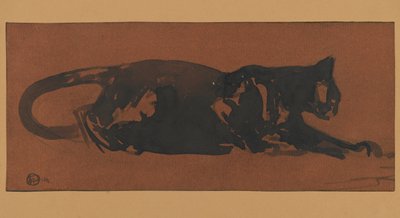 Gato negro de Henri Deluermoz