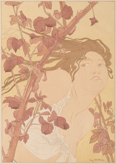 en las zarzas de Henri Detouche