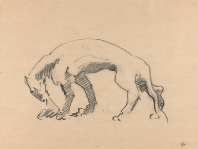 Perfil de la Leona de Henri Gaudier Brzeska
