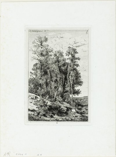 Abedules y robles de Henri Joseph Harpignies