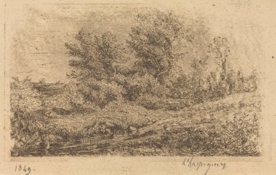 Bosque de árboles en un río (Bouquet d