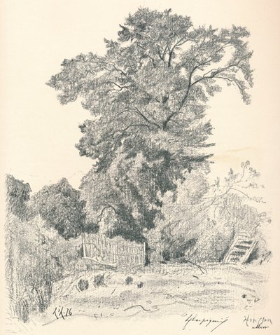 Estudio de árboles, c1839-1898, 1898 de Henri Joseph Harpignies