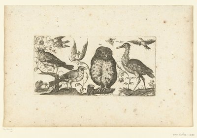 Nueve pájaros y un insecto Pájaros (título de la serie) de Henri Le Roy