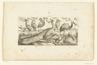 diecinueve pájaros Pájaros (título de la serie) de Henri Le Roy