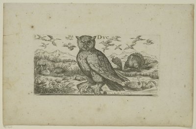 Búho y otras aves Pájaros (título de la serie) de Henri Le Roy
