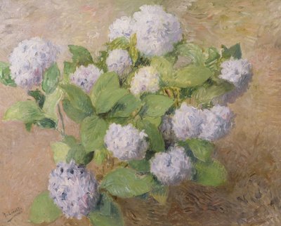 Hortensias azules de Henri Lerolle